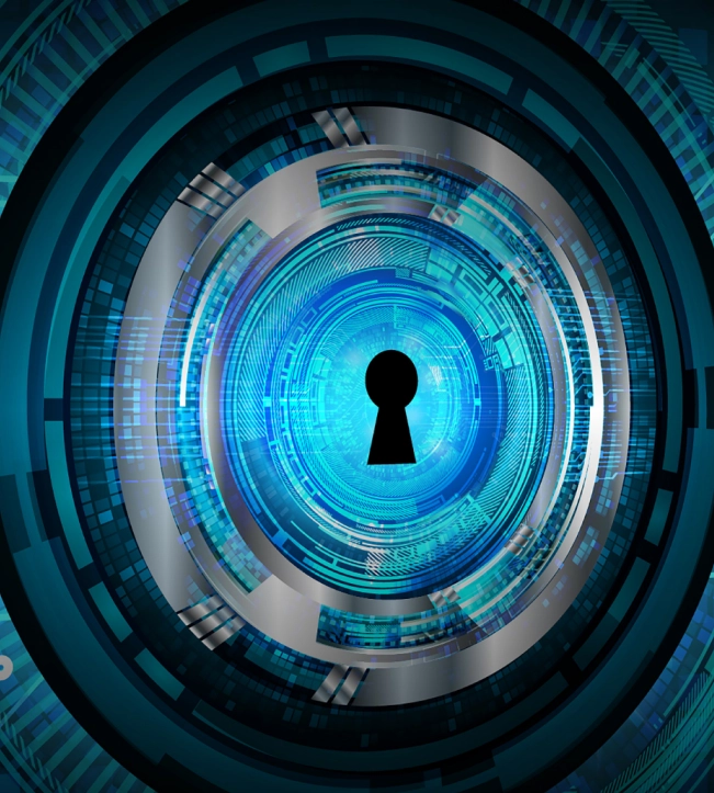 Navigating IRS WISP Mandates with Expertise